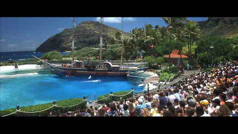 Screenshot [03] zum Film 50 erste Dates