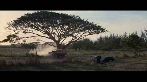 Screenshot [06] zum Film 50 erste Dates