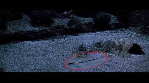 Fehlerbild [17] zum Film 'Kill Bill - Vol. 1'