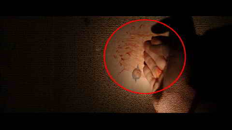 Fehlerbild [07] zum Film 'Kill Bill - Vol. 2'