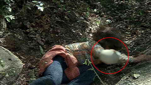 Fehlerbild [03] zum Film 'Freitag, der 13.'