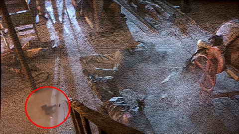 Fehlerbild [11] zum Film 'True Lies - Wahre Lügen'