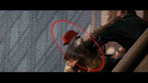 Fehlerbild [01] zum Film 'Last Boy Scout'
