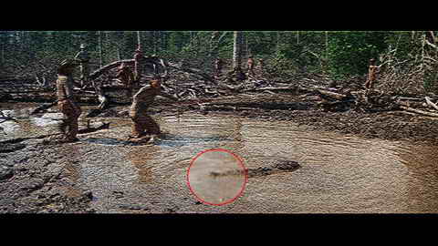 Fehlerbild [02] zum Film 'Papillon'