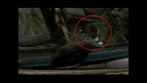 Fehlerbild [05] zum Film 'Hitcher - der Highway Killer'