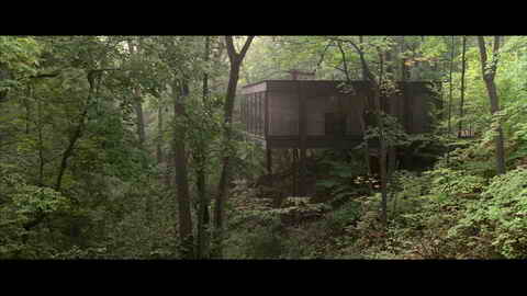 Screenshot [02] zum Film Ferris macht blau