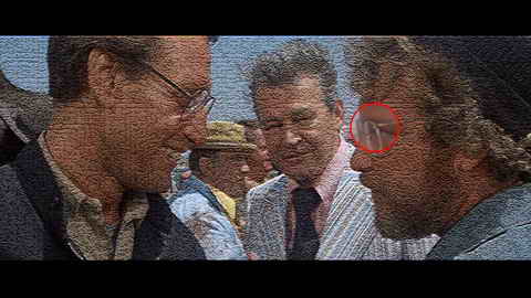 Fehlerbild [06] zum Film 'Weiße Hai, Der'