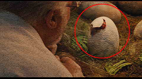 Fehlerbild [06] zum Film 'Jurassic Park'