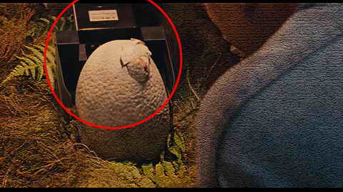 Fehlerbild [06] zum Film 'Jurassic Park'