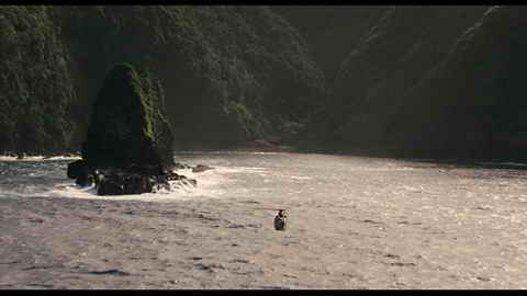 Screenshot [05] zum Film Jurassic Park