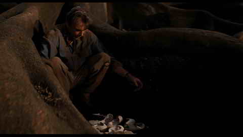 Screenshot [12] zum Film Jurassic Park