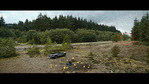 Fehlerbild [02] zum Film 'Sonic the Hedgehog'