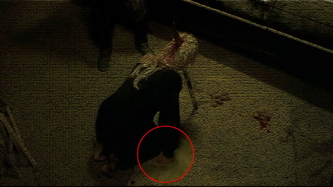 Fehlerbild [04] zum Film 'House of Wax'