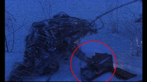 Fehlerbild [01] zum Film '12 Monkeys'