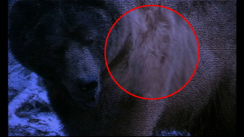 Fehlerbild [01] zum Film '12 Monkeys'