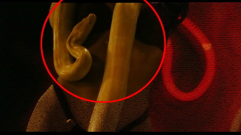 Fehlerbild [07] zum Film 'From Dusk Till Dawn'