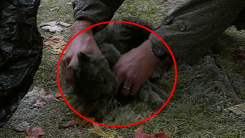 Fehlerbild [05] zum Film 'Friedhof der Kuscheltiere'