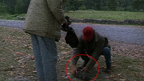 Fehlerbild [05] zum Film 'Friedhof der Kuscheltiere'