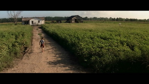 Screenshot [06] zum Film Forrest Gump
