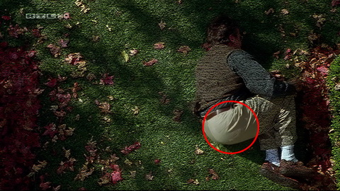 Fehlerbild [01] zum Film 'Flubber'