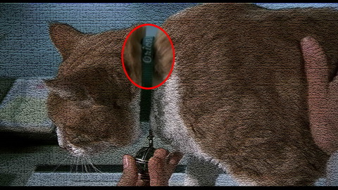 Fehlerbild [10] zum Film 'Men in Black'