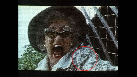 Fehlerbild [04] zum Film 'Braindead'