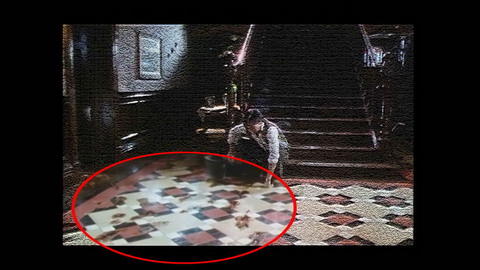 Fehlerbild [08] zum Film 'Braindead'