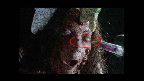 Fehlerbild [09] zum Film 'Braindead'