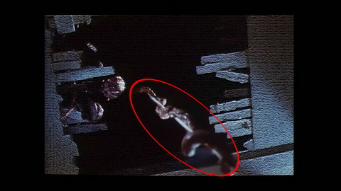 Fehlerbild [12] zum Film 'Braindead'