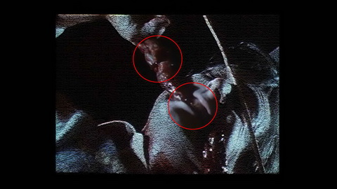 Fehlerbild [13] zum Film 'Braindead'