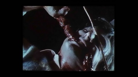 Fehlerbild [13] zum Film 'Braindead'