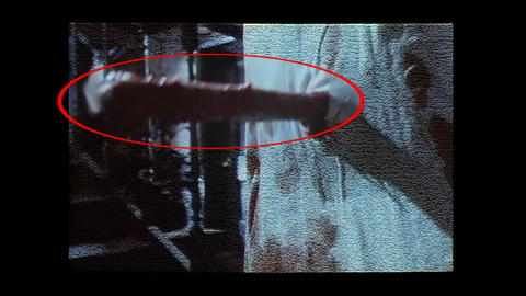 Fehlerbild [14] zum Film 'Braindead'