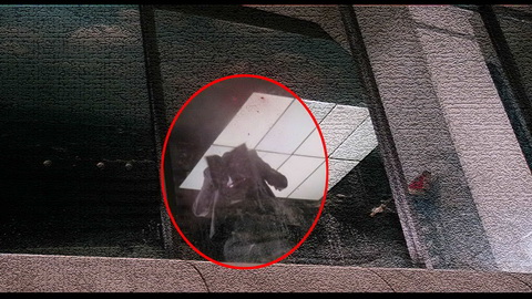 Fehlerbild [16] zum Film 'RoboCop'