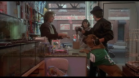Screenshot [11] zum Film Rocky 2