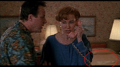 Fehlerbild [11] zum Film 'Kevin - Allein in New York'