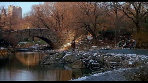 Screenshot [15] zum Film Kevin - Allein in New York
