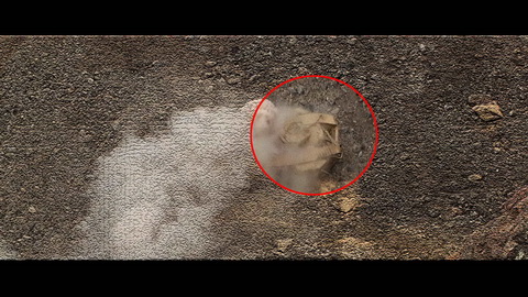 Fehlerbild [21] zum Film 'Indiana Jones und der letzte Kreuzzug'