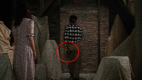 Fehlerbild [13] zum Film 'Beetlejuice'