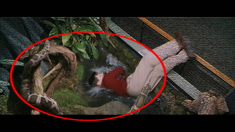 Fehlerbild [04] zum Film 'Harry Potter und der Stein der Weisen'