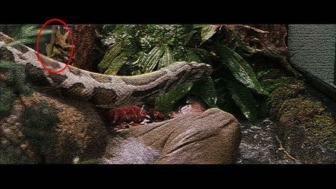 Fehlerbild [05] zum Film 'Harry Potter und der Stein der Weisen'