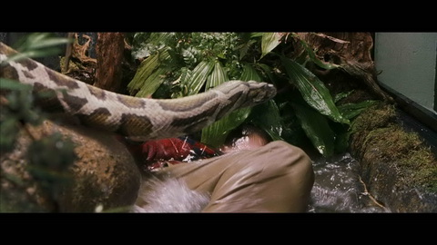 Fehlerbild [05] zum Film 'Harry Potter und der Stein der Weisen'