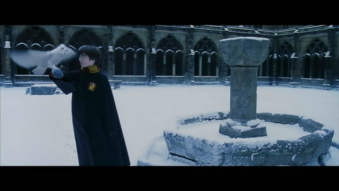 Screenshot [13] zum Film Harry Potter und der Stein der Weisen