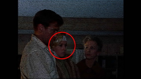 Fehlerbild [04] zum Film 'Vögel, Die'