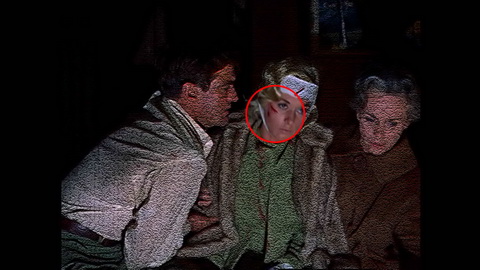 Fehlerbild [04] zum Film 'Vögel, Die'
