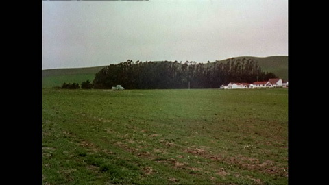 Screenshot [09] zum Film Vögel, Die