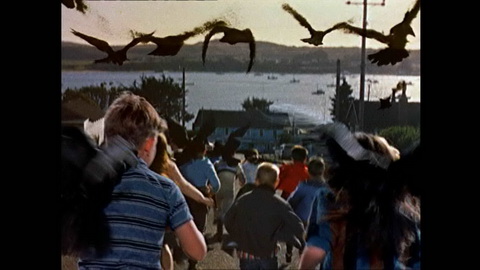Screenshot [10] zum Film Vögel, Die