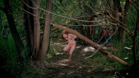 Fehlerbild [03] zum Film 'Ich spuck' auf dein Grab'