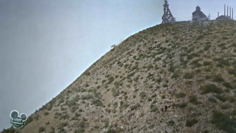 Screenshot [45] zum Film Toller Käfer, Ein