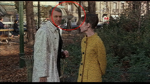 Fehlerbild [06] zum Film 'Charade'
