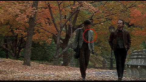 Fehlerbild [09] zum Film 'Harry und Sally'